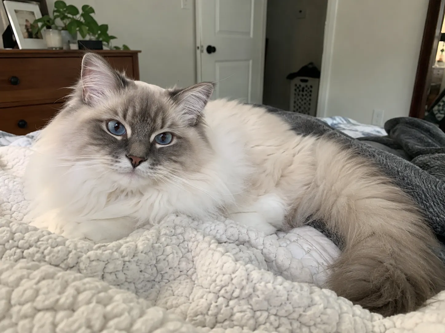 Cloud's Heaven